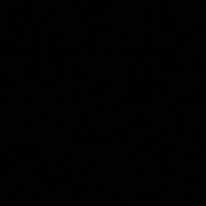 Meet your Posher, Anne